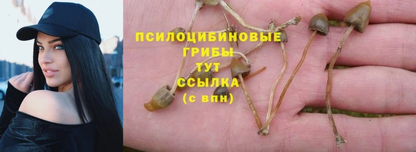 метадон Покачи